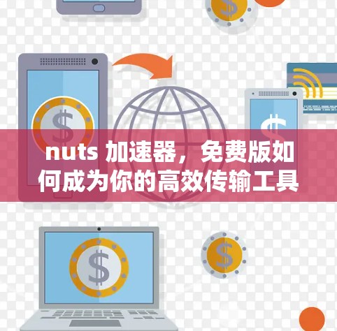 nuts 加速器，免费版如何成为你的高效传输工具