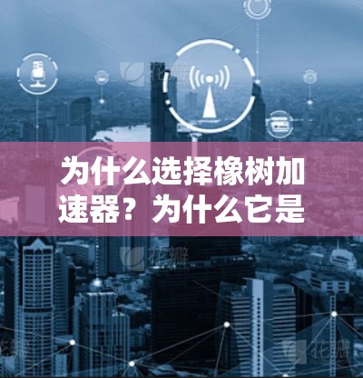 为什么选择橡树加速器？为什么它是通信技术的顶尖选择之一