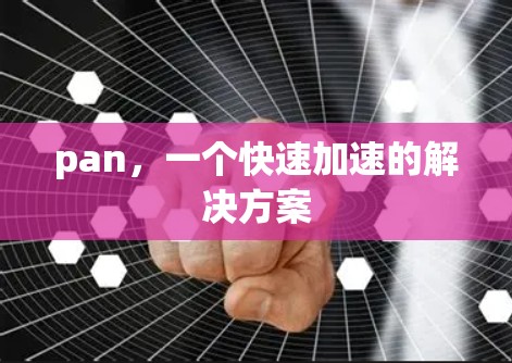 pan，一个快速加速的解决方案