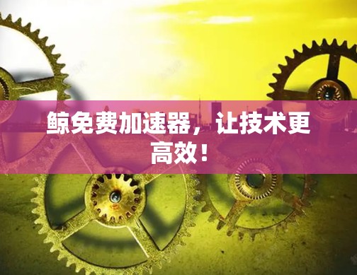 鲸免费加速器,让技术更高效! 鲸免费加速器,让技术更高效!