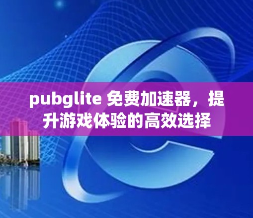 pubglite 免费加速器，提升游戏体验的高效选择