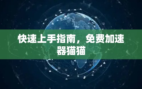 快速上手指南，免费加速器猫猫