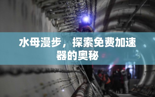 水母漫步，探索免费加速器的奥秘