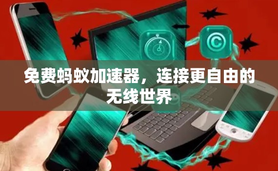 免费蚂蚁加速器，连接更自由的无线世界