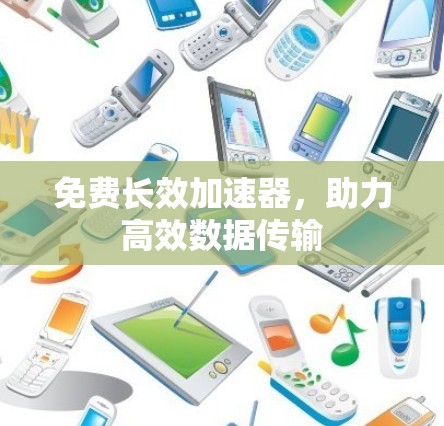 免费长效加速器，助力高效数据传输