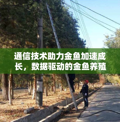 通信技术助力金鱼加速成长，数据驱动的金鱼养殖新趋势