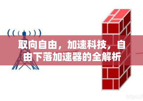 取向自由，加速科技，自由下落加速器的全解析