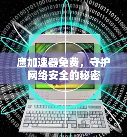 鹰加速器免费，守护网络安全的秘密