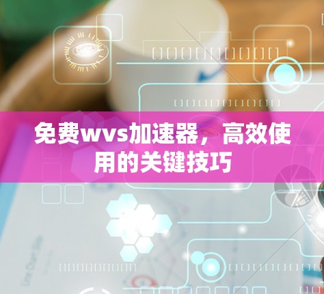 免费wvs加速器，高效使用的关键技巧