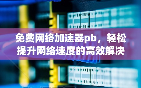 免费网络加速器pb，轻松提升网络速度的高效解决方案