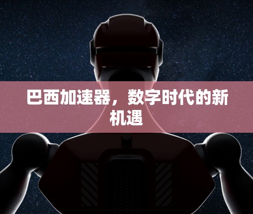 巴西加速器，数字时代的新机遇
