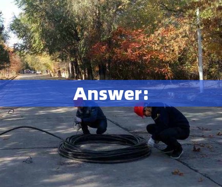 Answer: Answer: