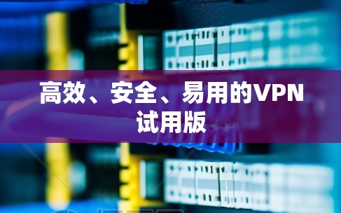 高效、安全、易用的VPN试用版 高效、安全、易用的VPN试用版