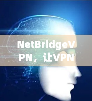 NetBridgeVPN,让VPN连接更高效 NetBridgeVPN,让VPN连接更高效