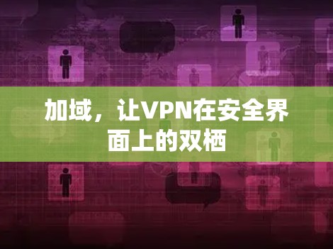 加域，让VPN在安全界面上的双栖