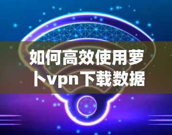 如何高效使用萝卜vpn下载数据? 如何高效使用萝卜vpn下载数据?