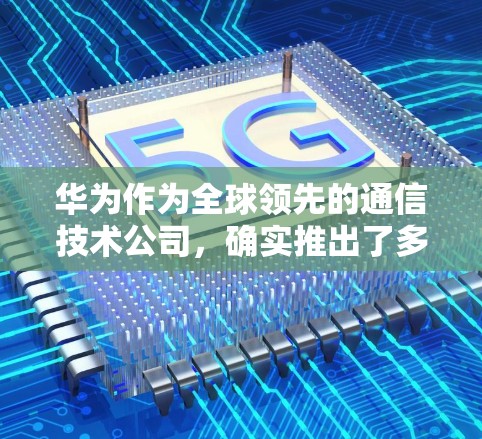 华为作为全球领先的通信技术公司，确实推出了多种针对用户隐私和数据保护的软件和服务。以下是华为手机上的一些与隐私保护相关的软件和服务