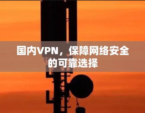 国内VPN,保障网络安全的可靠选择 国内VPN,保障网络安全的可靠选择