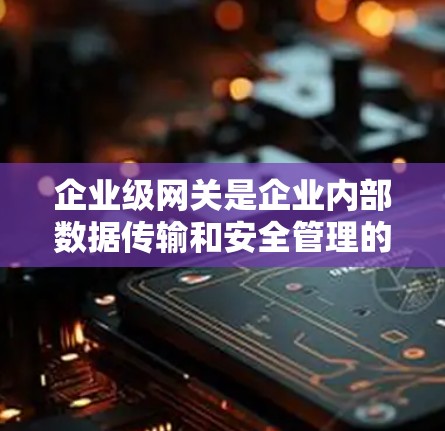 企业级网关是企业内部数据传输和安全管理的关键工具，以下是对其详细分析的总结