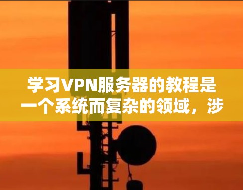 学习VPN服务器的教程是一个系统而复杂的领域，涉及多个模块和步骤。以下是一个有条理的步骤指南，帮助你系统地学习和掌握VPN服务器的各个方面