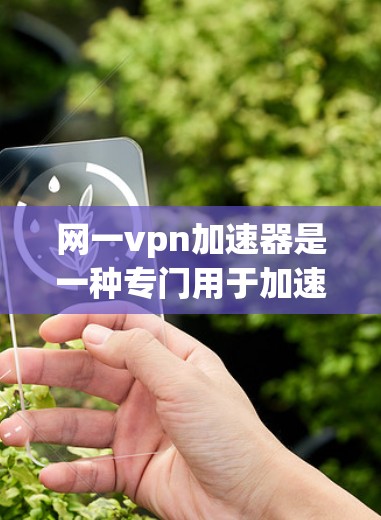网一<strong>VPN加速器</strong>是一种专门用于加速VPN连接的软件，旨在提升VPN性能，减少延迟和网络延迟。以下是关于网一<strong>VPN加速器</strong>的详细介绍