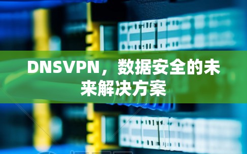 DNSVPN，数据安全的未来解决方案