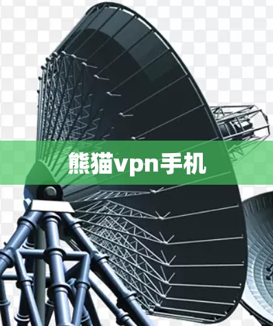 熊猫vpn手机