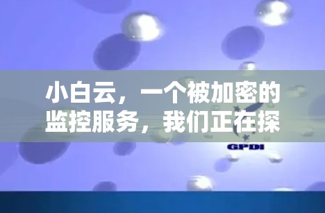 小白云,一个被加密的监控服务,我们正在探索其潜力 小白云,一个被加密的监控服务,我们正在探索其潜力