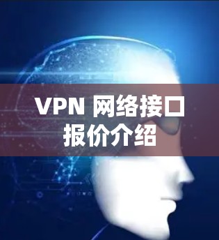 VPN 网络接口报价介绍 VPN 网络接口报价介绍