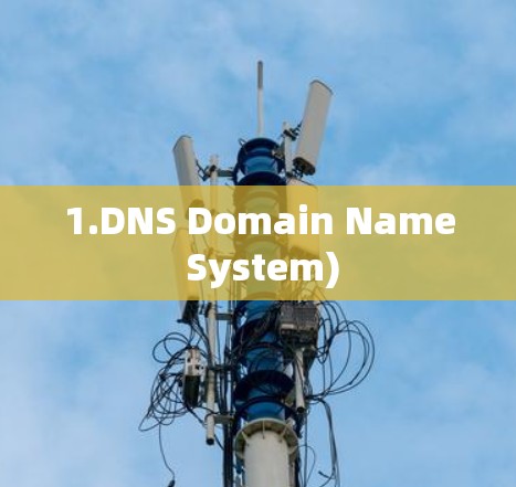 1.DNS Domain Name System) 1.DNS Domain Name System)