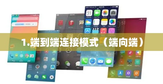 1.端到端连接模式（端向端）