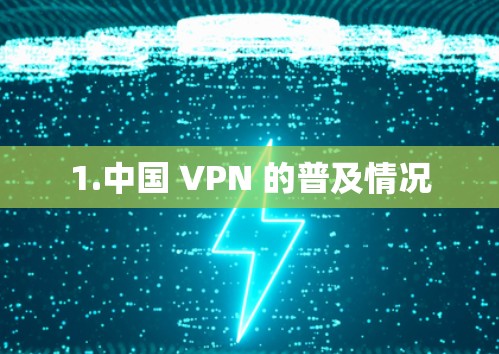 1.中国 VPN 的普及情况