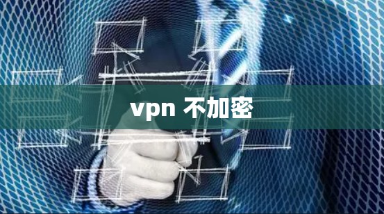 vpn 不加密