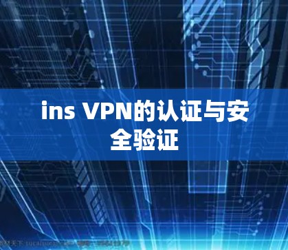 ins VPN的认证与安全验证
