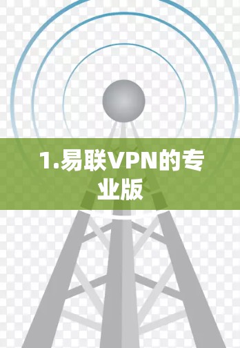 1.易联VPN的专业版 1.易联VPN的专业版