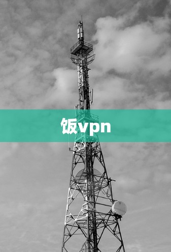 饭vpn 饭vpn
