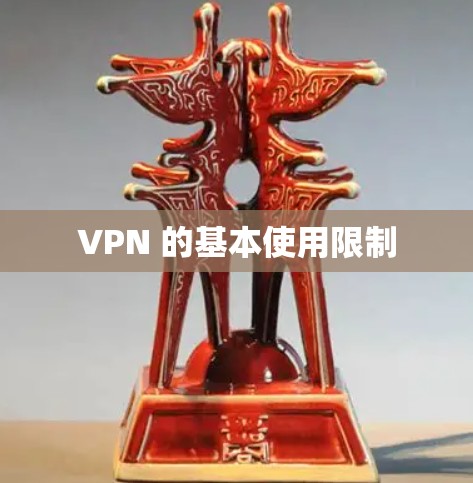 VPN 的基本使用限制