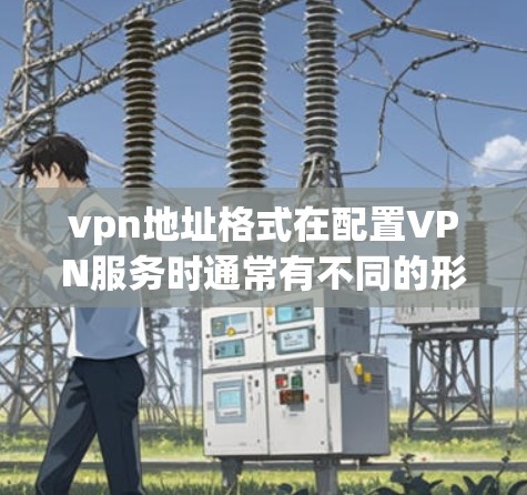 vpn地址格式在配置VPN服务时通常有不同的形式，具体取决于目标网络的类型（如局域网、区域网或全球网）以及具体的配置要求。以下是一些常见的vpn地址格式