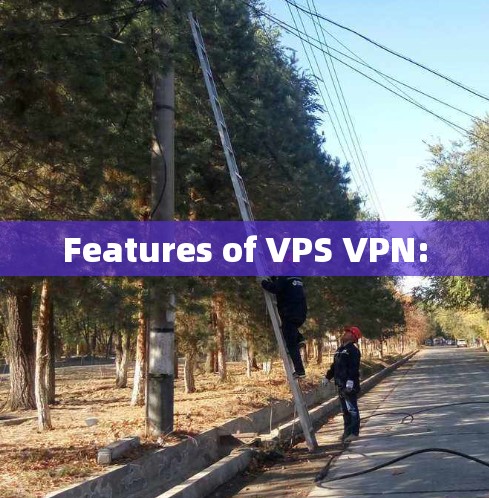 Features of VPS VPN: Features of VPS VPN:
