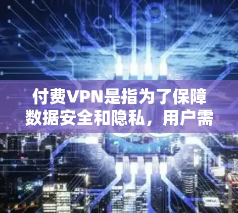 付费VPN是指为了保障数据安全和隐私，用户需要支付一定的费用来使用高级加密技术或更强大的服务的VPN。这类服务通常提供更复杂的配置，比如多设备、多用户支持，以及更先进的加密算法，以确保数据的安全性