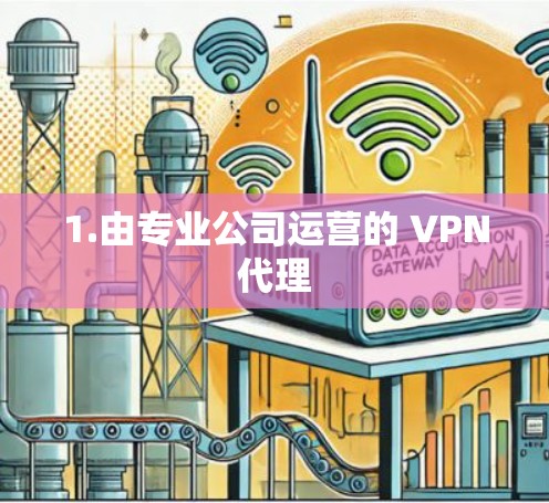 1.由专业公司运营的 VPN代理