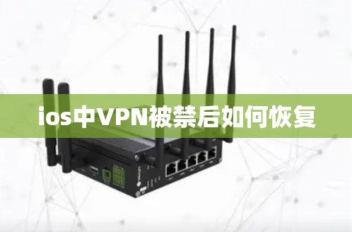 ios中VPN被禁后如何恢复 ios中VPN被禁后如何恢复
