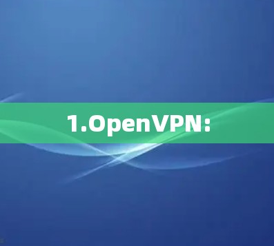 1.OpenVPN: 1.OpenVPN: