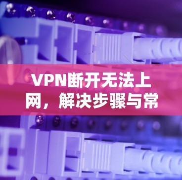 VPN断开无法上网,解决步骤与常见问题分析 VPN断开无法上网,解决步骤与常见问题分析