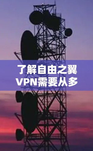 了解自由之翼VPN需要从多个角度进行研究和分析，以确保你做出明智的选择。以下是一个结构化的总结