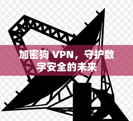 加密狗 VPN，守护数字安全的未来