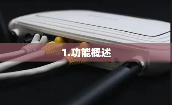 1.功能概述 1.功能概述