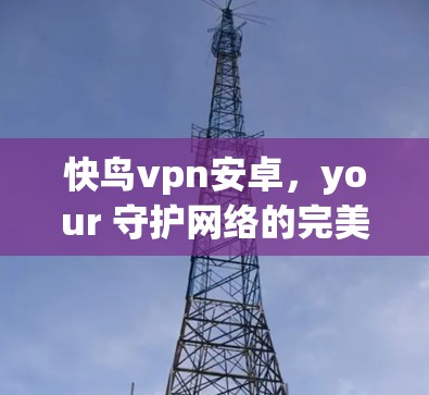 快鸟vpn安卓,your 守护网络的完美解谜 快鸟vpn安卓,your 守护网络的完美解谜