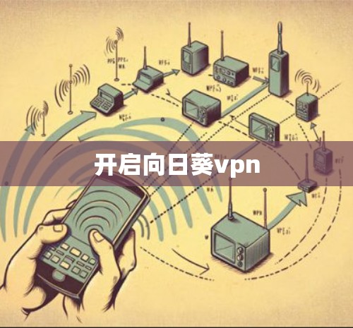 开启向日葵vpn 开启向日葵vpn