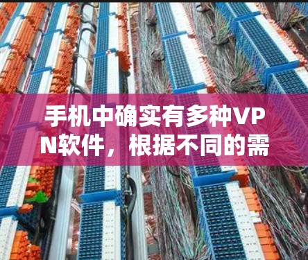 手机中确实有多种VPN软件，根据不同的需求和技能选择合适的软件。以下是几种常见的VPN软件及其特点